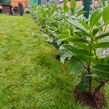 Apartmanovy Dom Maros * Pavčina Lehota